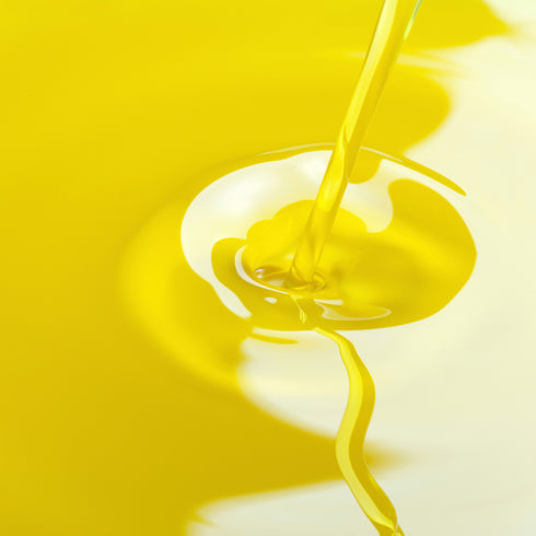 有機ジェノベッサ種 2024年搾油 250ml / Zuccardi Organic Genovesa 250ml / 2024 Harvest